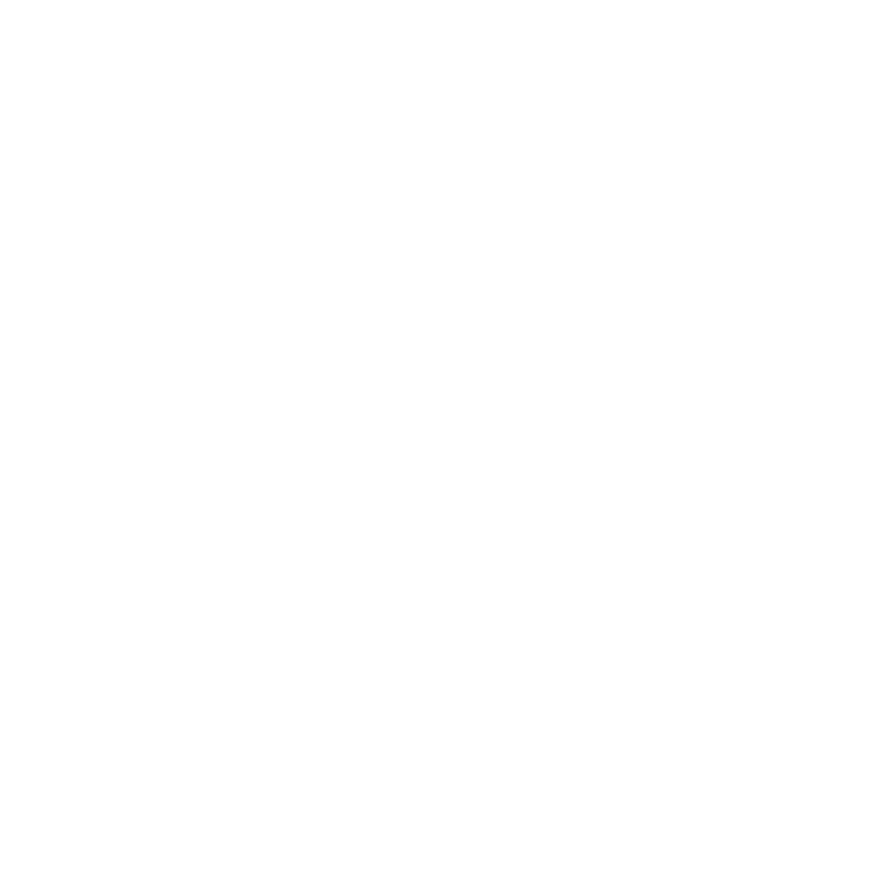 PROJECT ICARUS